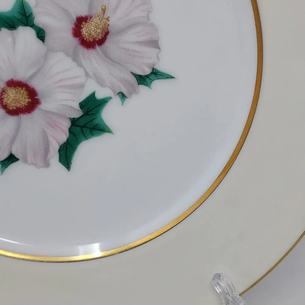 Kent Tropical Pattern Set of 2 Dinner Plates 10 5/8